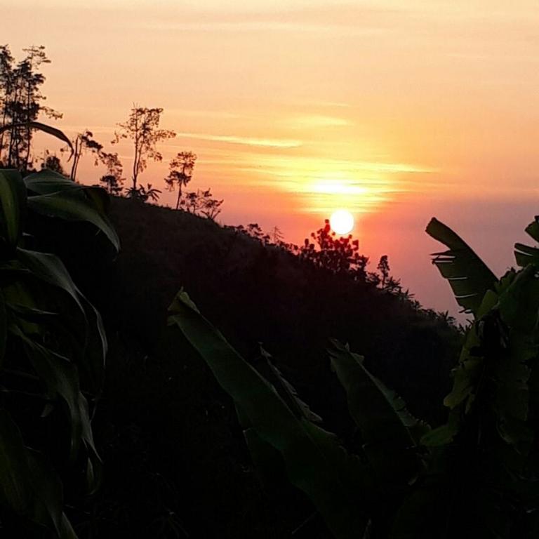 Apartmán Ecobromo Pasuruan Exteriér fotografie